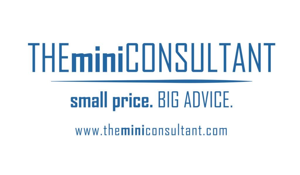 THEminiCONSULTANT Logo Tagline: small price. BIG ADVICE. URL: theminiconsultant.com