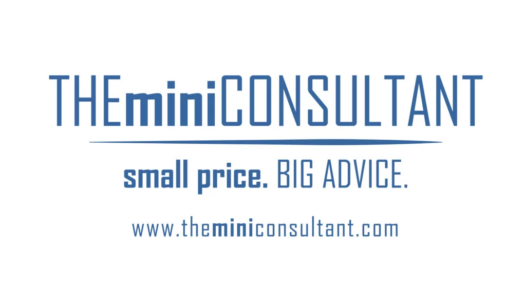 THEminiCONSULTANT Logo Tagline: small price. BIG ADVICE. URL: theminiconsultant.com